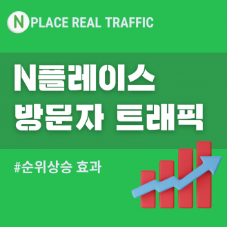 N플레이스 방문자 트래픽